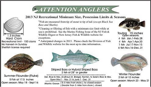 nj saltwater fishing regulations
